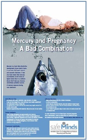 mercury and pregnancy poster